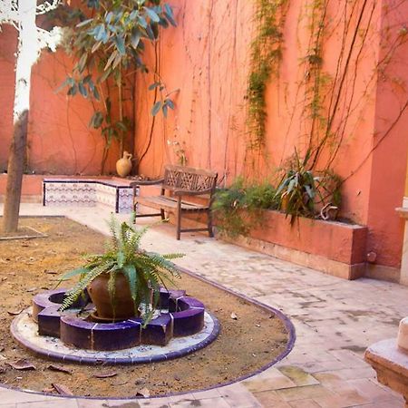 Monkeys Apartments San Isidoro Siviglia Esterno foto